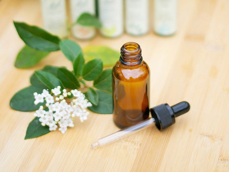 Bachblüten für die energetische Behandlung